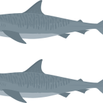 365体育滑雪自动版-365体育滑雪最新APP入口下载/苹果安卓手机版官方正版